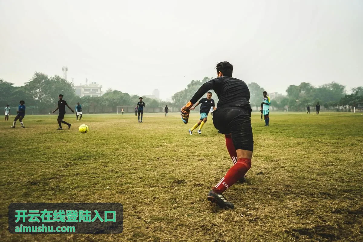 开云在线登陆入口常见问题排查示意